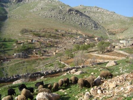 روستای مزیدی-gB5q87lGdI