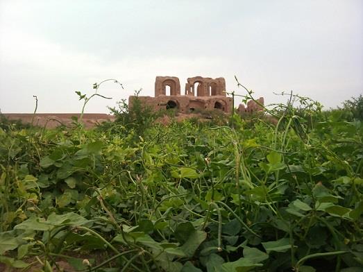 روستای فمی-gDiyuaiZYU