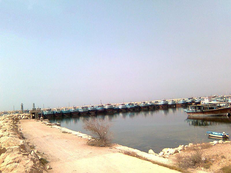 شهر نخل تقی-gLGPtsIRjv