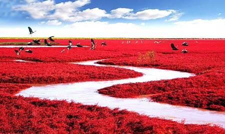 تصاویری از مكانهای عجیب و دیدنی روی كره زمین-gNgelsGr2X