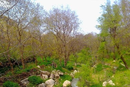 روستای هواندران-gQcklwchTc