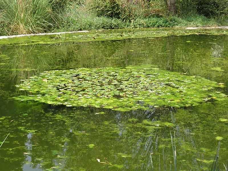 در مسیر جاده چالوس این مكانها را از دست ندهید-gVC145JSRU
