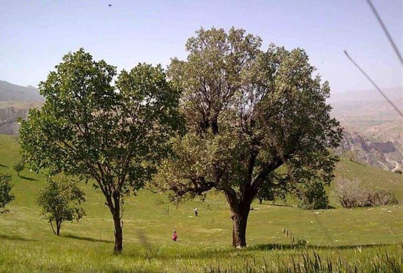 روستای گرز لنگر-gXAmTnm2mE