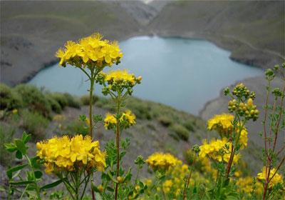 سفر به سرزمین گل و صخره-gbjB4VLhYf