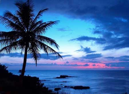 جزیره ماوی (مائویی)، زیباترین جزیره جهان-gg6kUhdxlA