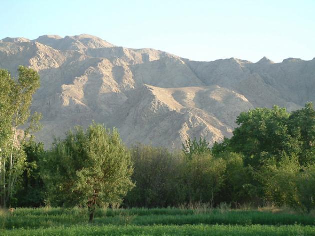 جوپار-gigzowEiVw