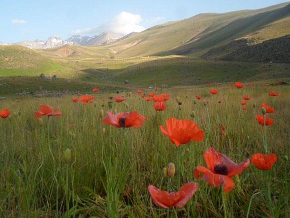 چشمه داشلی بولاغ گرمی استان اردبیل, گرمی-gof1fERftc