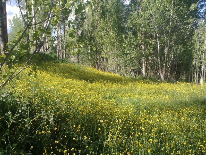 روستای گورانسراب-grx97NRIFe
