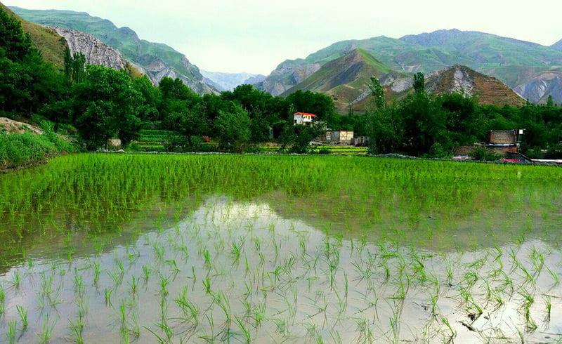 روستای ایدلیك كلات-gs7Mjnhez5