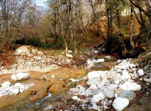جنگل شصت كلا گرگان-gtXOVs7I9o