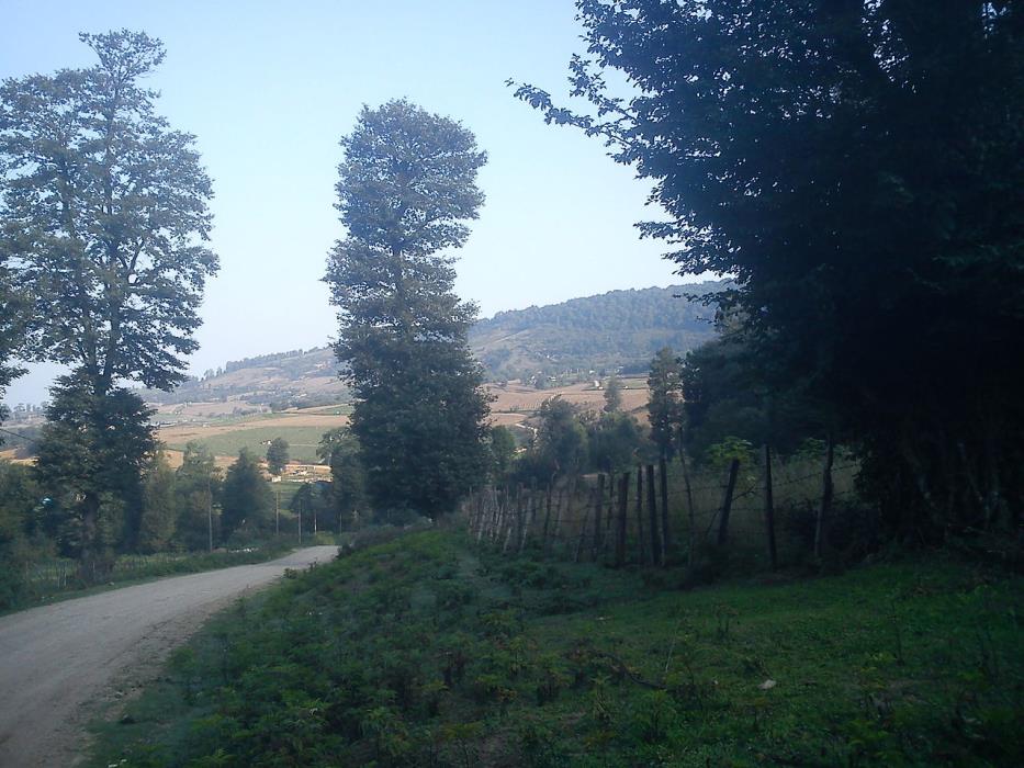 روستاهای ساری ( معرفی ۳۹۰ روستای ساری )-gvFnxQDuSn
