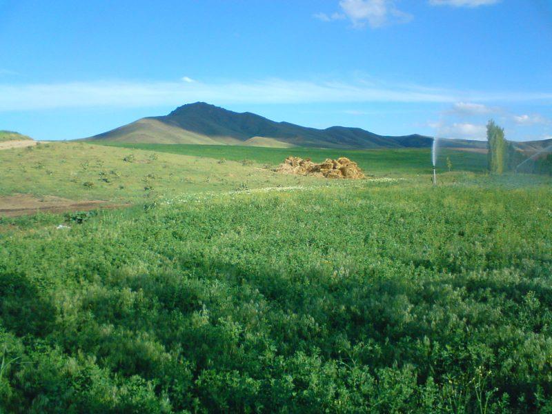 روستای شاه جوب-h5LNCzxpym