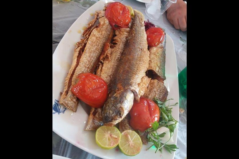 رستوران پارسی بندرانزلی-h5rRv4tkG8
