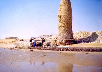 بندر كنگ-h7UrN2KznV