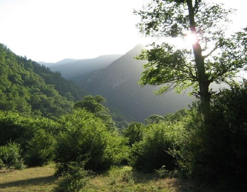 روستای زیارت دماوند-h9QqVmPlcX