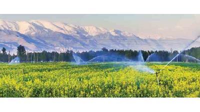 جاهای دیدنی احمد آباد مستوفی-hBGWFZRInV