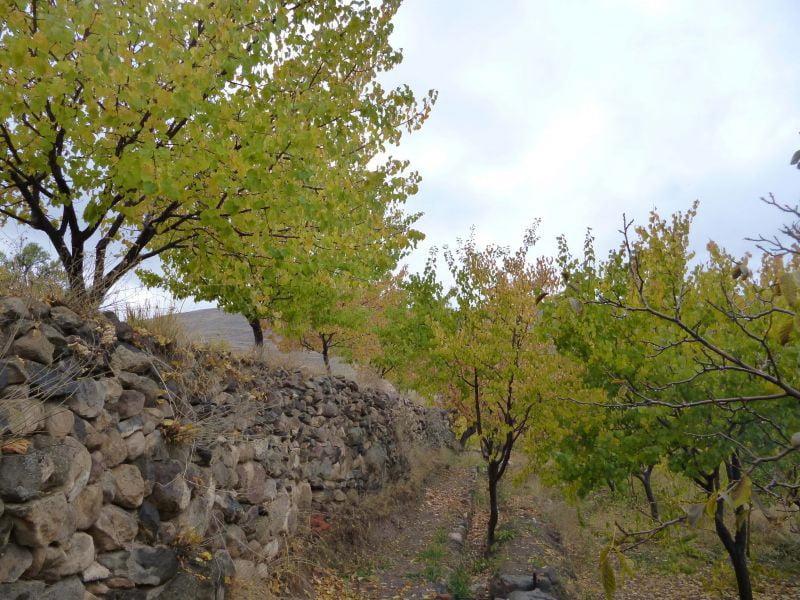 روستای كهنمو-hBrNmQLLW0
