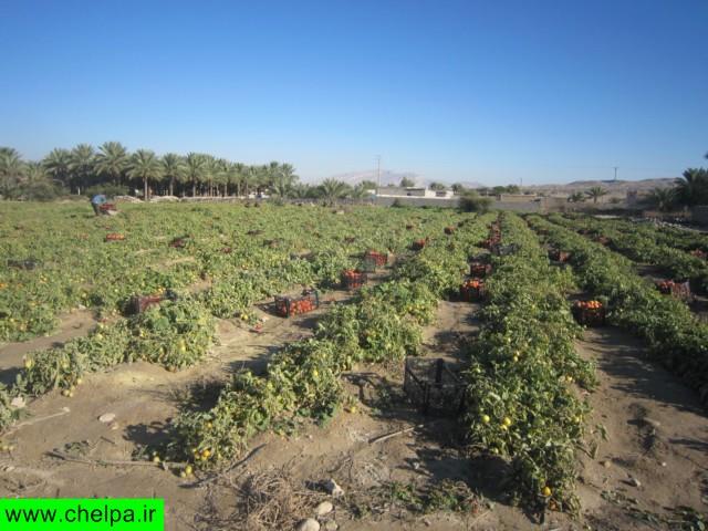 روستای شلدان-hGvbczllBQ