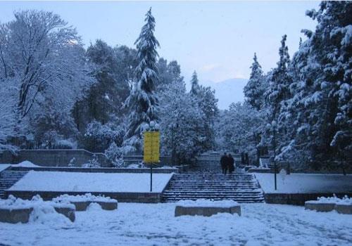 پارك نیاوران-hJwErKaM50