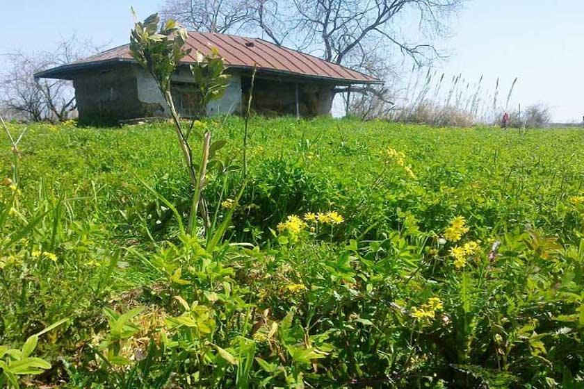 روستای گالشكلام-hU3Xj3T115