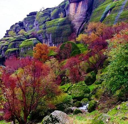 بزرگ ترین پاركهای جنگلی ایران-hWpoBkGHV6