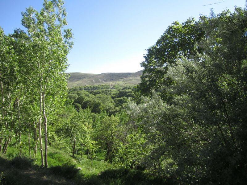 روستای كهنمو-hWwzYFPetT