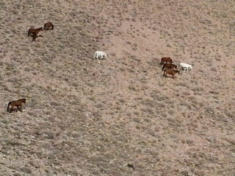 روستای لاطران-hXHeA7dbNk