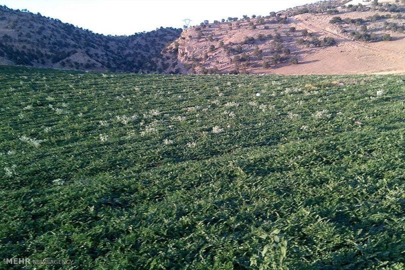 روستای ریخان-hZ7oDrF7FI