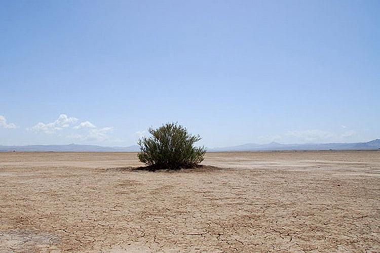 جاهای دیدنی بیرجند ( ۴۰ جاذبه گردشگری )-hc2ycjLU0U