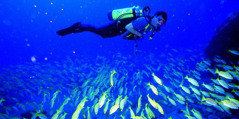 برای غواصی كردن به كجای ایران برویم !-henOTkgId2