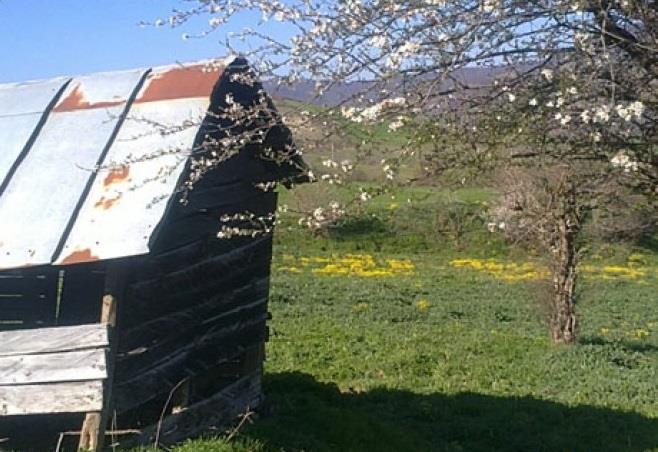 روستای آكرد-hqPL7nsKLJ