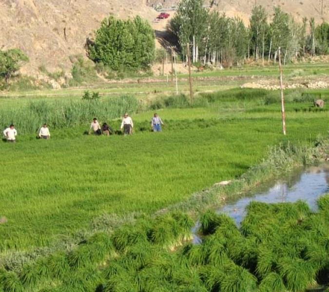روستای چم رود-hrouFnoj4m