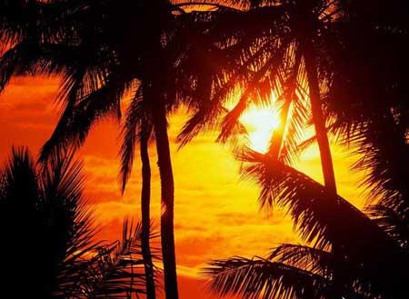 جزیره مائویی، زیباترین جزیره جهان-hsGJcGNYX4