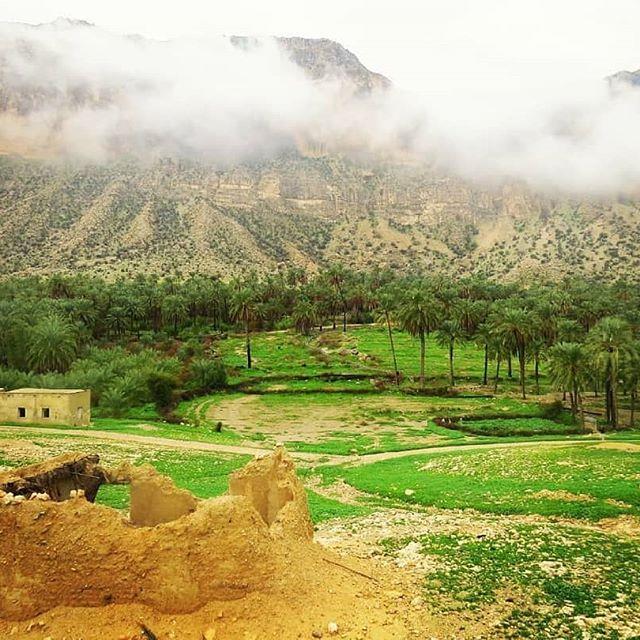 شهر انارستان-hsuPY1I3gX