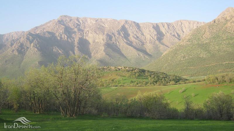 منطقه حفاظت شده كوسالان و شاهو-hteF7hdrrz