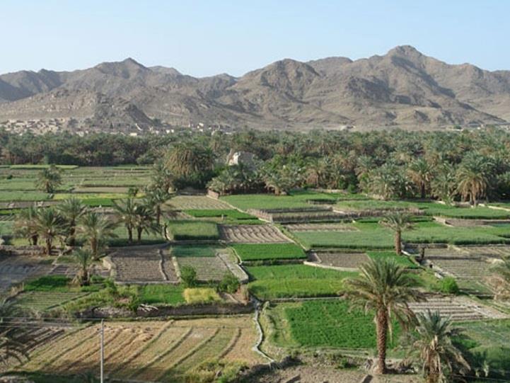 دهستان ناهوك-huhrt0859Q