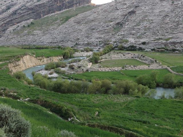 روستای دشمن زیاری-hxnF6Gte6b
