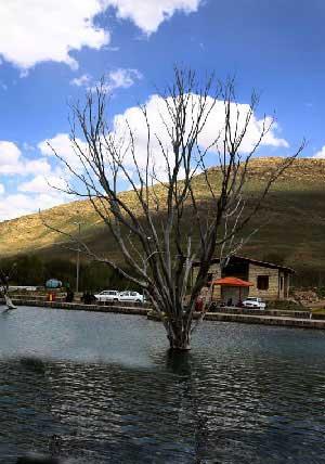چشمه شاه بلاغی سلطانیه-hy7fd9lQYe