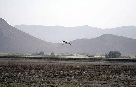 «خشكسالی» نفس تالاب‌ها را به شماره انداخت!-i8OI0uY7YZ