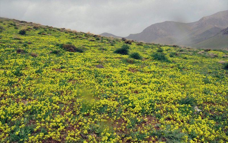 جاده بودجان دهاقان-iDeu29a8Ca