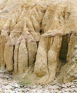 گلهای جوشان چابهار-iXbnHlGWeD