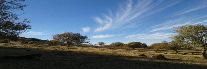 روستای خواجه جمالی-ibfu1IdfNw