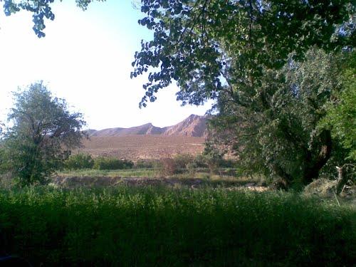 شهر قطرویه-ifdkgWkuSu