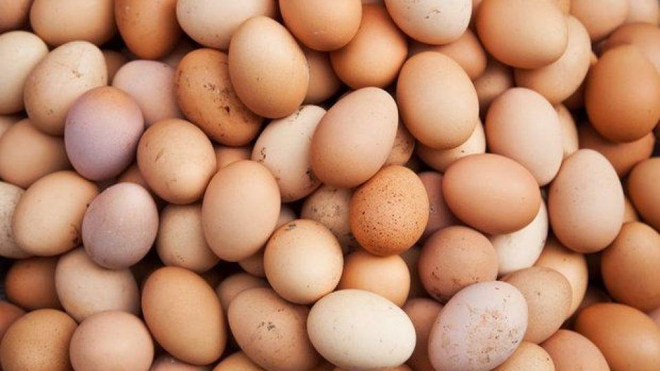طرز تهیه ۱۰ املت خوشمزه ایرانی-ih20kYFkWg