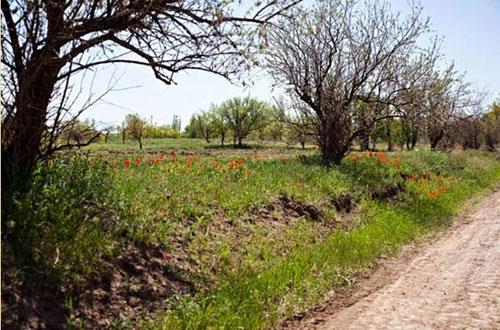 روستای ویر-ihNmlhsi93
