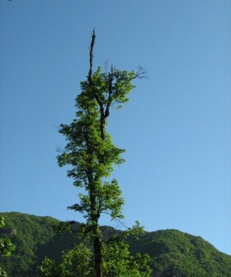 روستای قرن آباد-ijRiMdVHlH