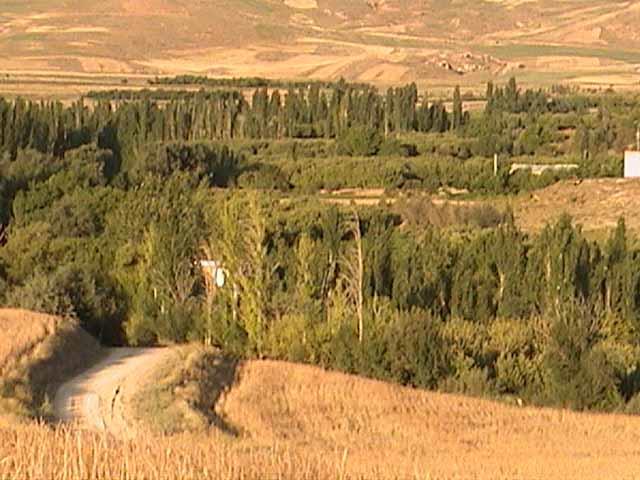 دره بـازخانه-ijxxDBcLD0