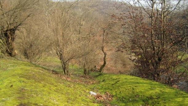 روستای اسكولك-ikKoRbiWs6