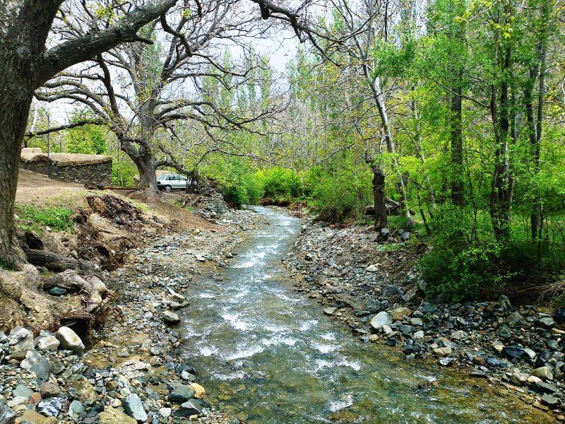 روستای گروه-inOanbrt3t