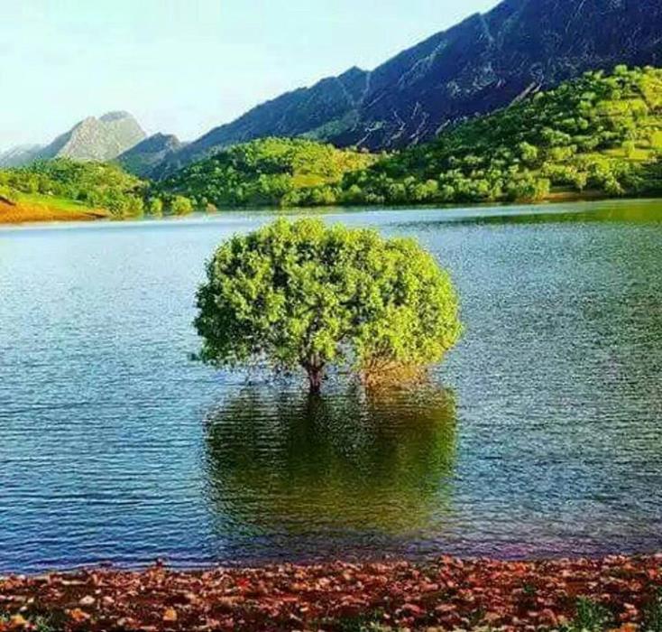 سد خاكی سراب چنار-io7kH7zenv